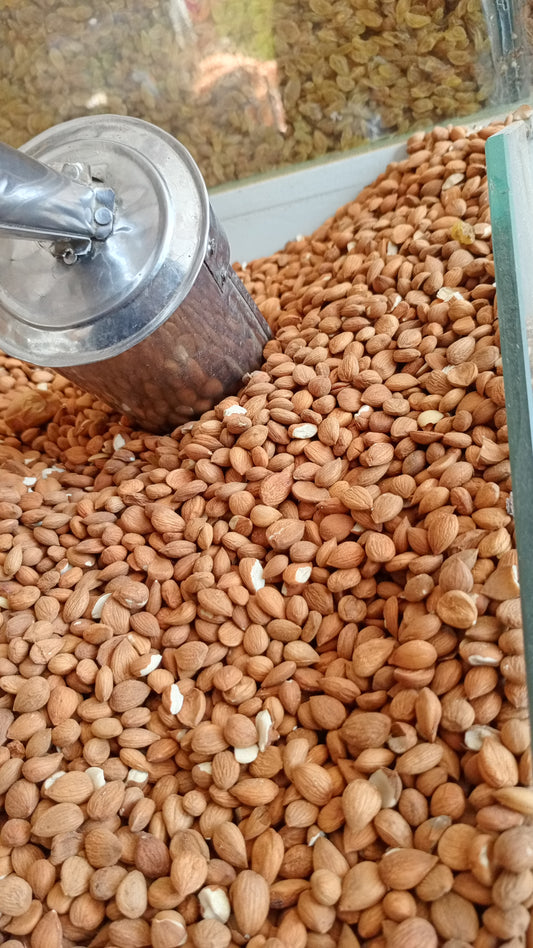Healthy Organic sweet  Apricot Kernels (Giri) snack from Baltistan
