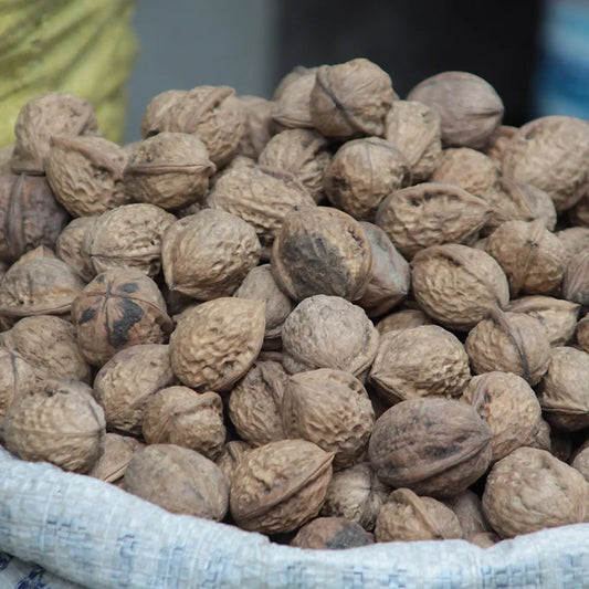Organic Thin Shell Walnuts (Kaghazi Akhrot) from Gilgit Baltistan - Premium Quality